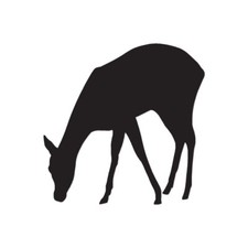 Deer Doe Fawn - Vinyl Decal Sticker - Multiple Colors & Sizes - ebn2810