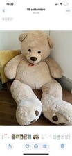 Orso peluche gigante