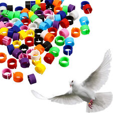 300x anelli 8mm clip identificazione uccelli quaglie tortore piccioni colombe