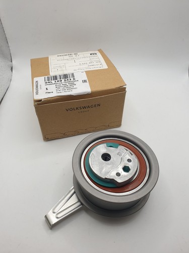 Tensionatore cinghia camme