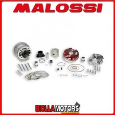 3115390 GRUPPO TERMICO MALOSSI