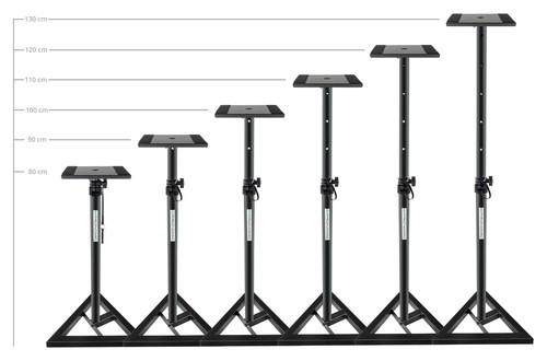 Coppia robusti supporti casse