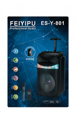 Cassa Amplificata Karaoke