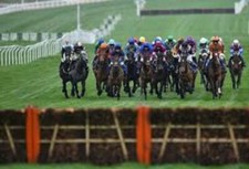 Sistema corse cavalli Place