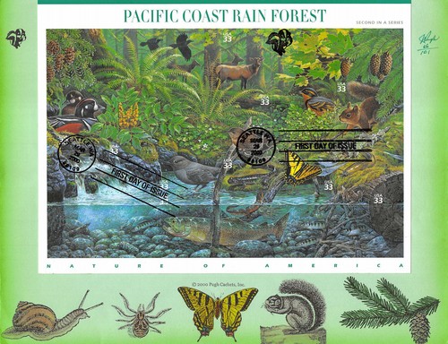 3378a 33c pacific coast rain - coast,