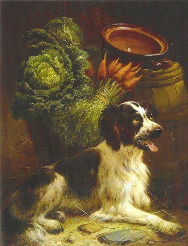 Nuova cartolina cani museo - cartolina,