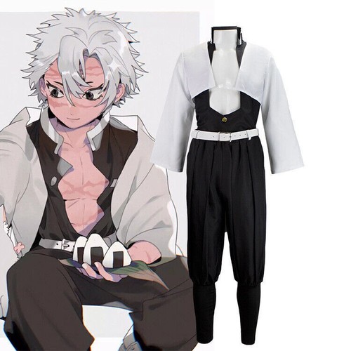 Demon slayer shinazugawa - demon,