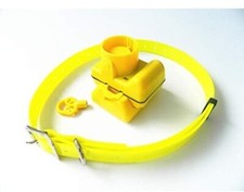 😍BEST SELLER 2024✨Collare