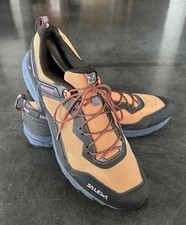 Salewa Mens Ultra Train 3 Shoe