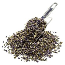 Lavanda Officinale Fiori Mondi