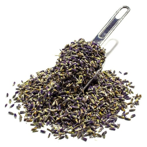 Lavanda officinale fiori - lavanda, mondi