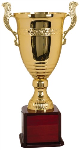 Giant gold trophy cup - giant,