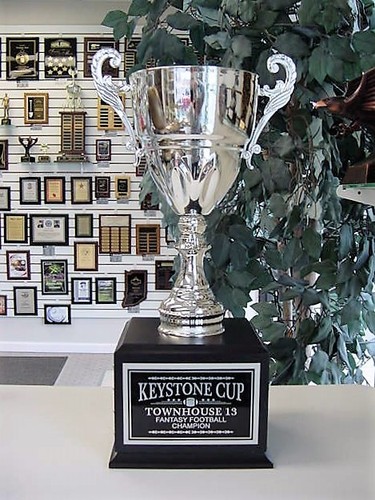 Fantasy football trophy - football, 16