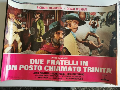 Fotobusta due fratelli un - in,