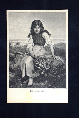 Fiori primaverili incisione - fiori,