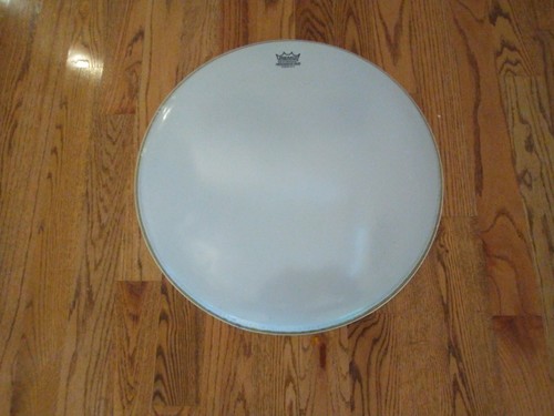 Remo ambassador coated in - 22,