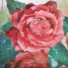 Carta di Riso Tovagliolo