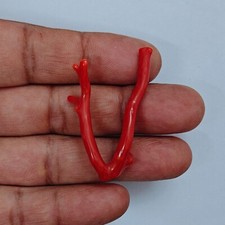 Ramo di corallo rosso