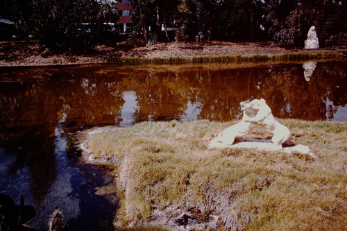 Luglio 1962 brea tar pits - brea,