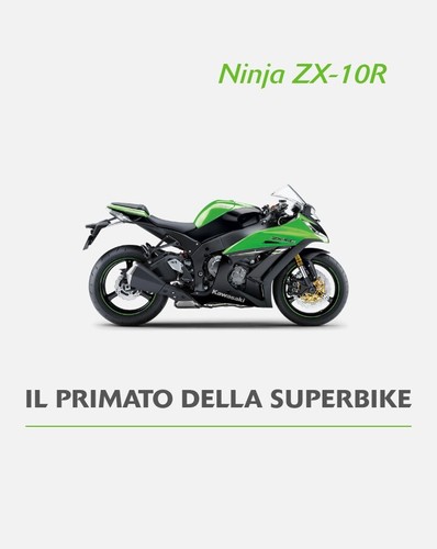 Kawasaki zx10r 2014 ricambi