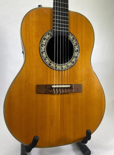Chitarra elettrica classica