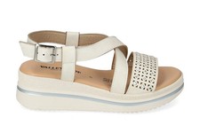 Valleverde v55101 white - valleverde,