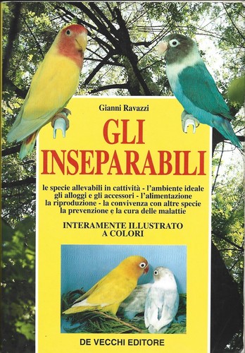 Ravazzi gli inseparabili de - -,
