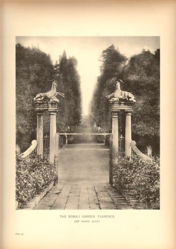 Large print garden design - large,