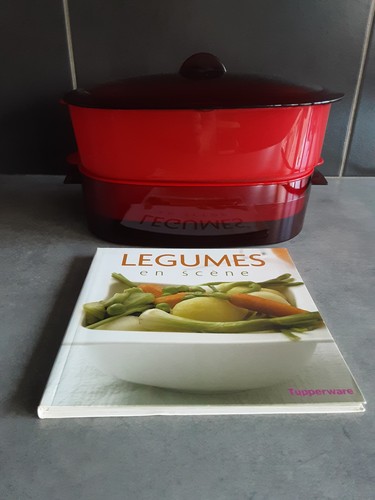 Cocotte ovale cuit vapeur - ovale,