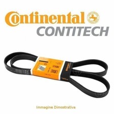Cinghia servizi parte - servizi,