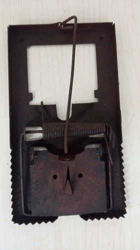 Antichi attrezzi trappola per - antichi,