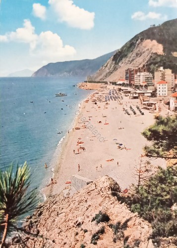 Cartolina deiva marina - cartolina,