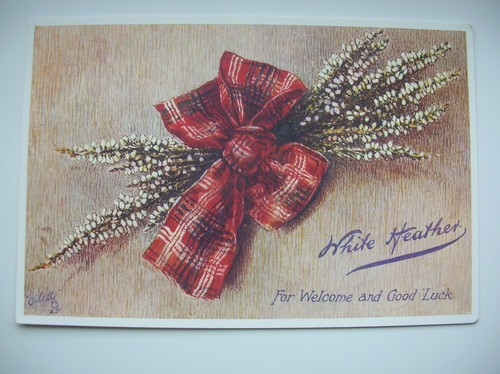 White heather postcard - white,