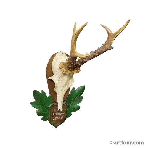 Grande trofeo cervo - cervo, rosso
