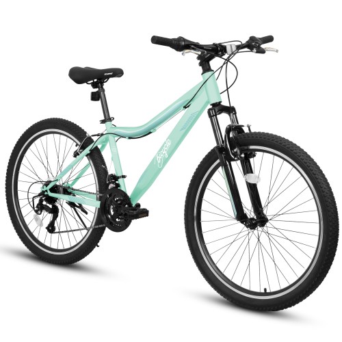 Mountain bike 21 - mountain,