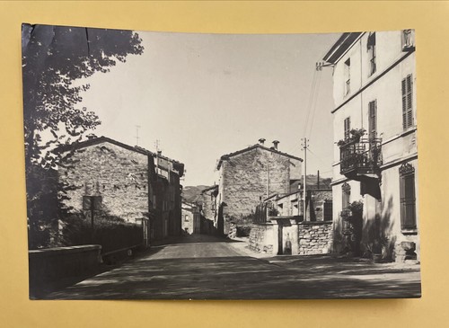 Castellina brisighella - -,