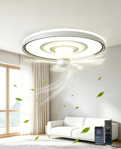 Ventilatore soffitto con - ventilatore,