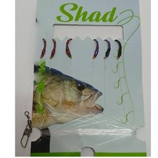 moschiera pesca coregone