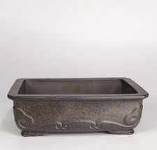 Vaso SHOHIN BONSAI 145mm In