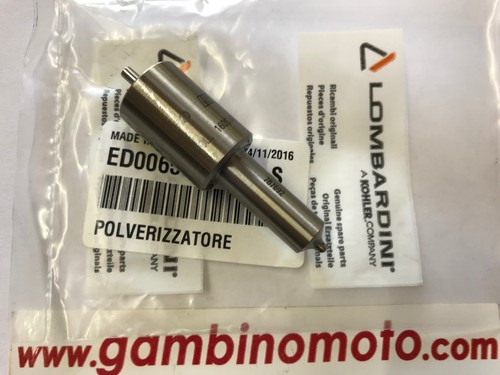 Polverizzatore motore - polverizzatore,
