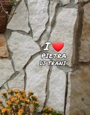 PIETRA BIANCA NATURALE DI