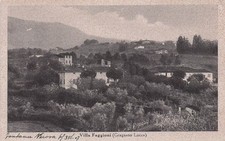 28-12) CARTOLINA GRAGNANO VILLA FAGGIONI EDIZIONE MARINO CARIGNANI BONINI LUCCA
