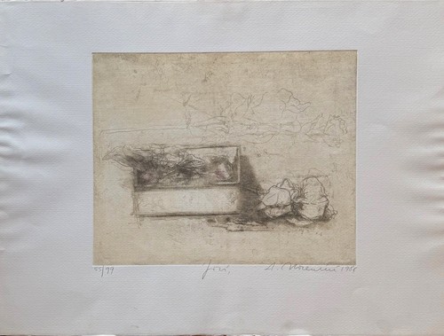 Alessandro nocentini incisione - nocentini,