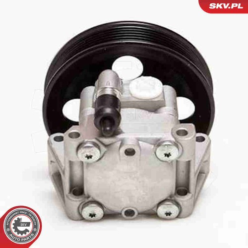 For skv germany - skv,