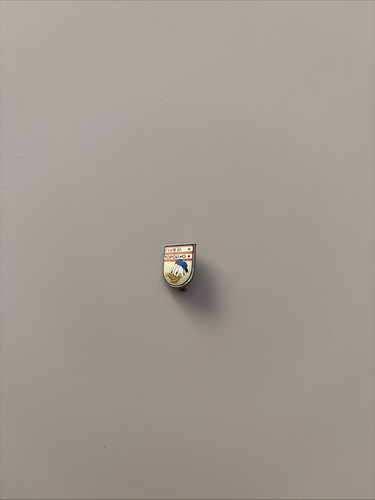 Distintivo spilletta ispettore - spilletta,