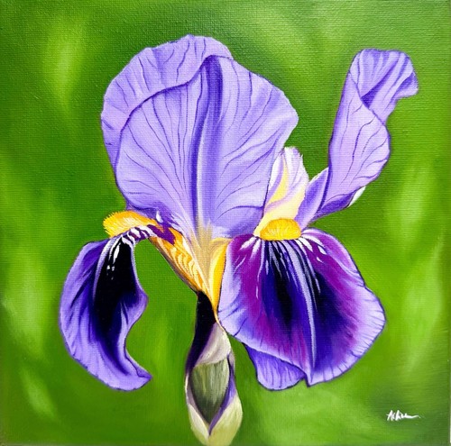 Dipinto olio originale - , iris