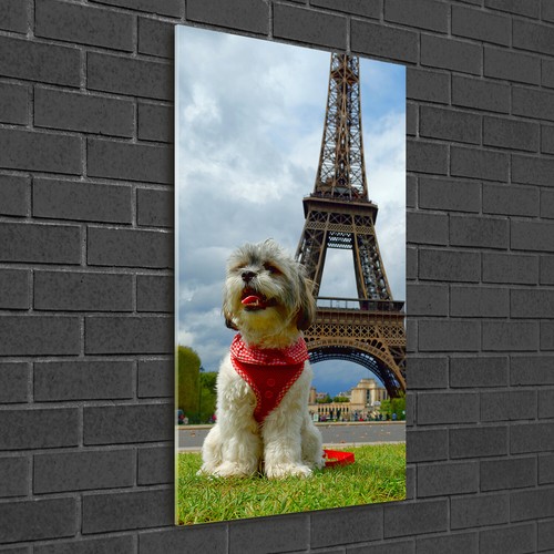 Tulup stampa vetro wall art - stampa,