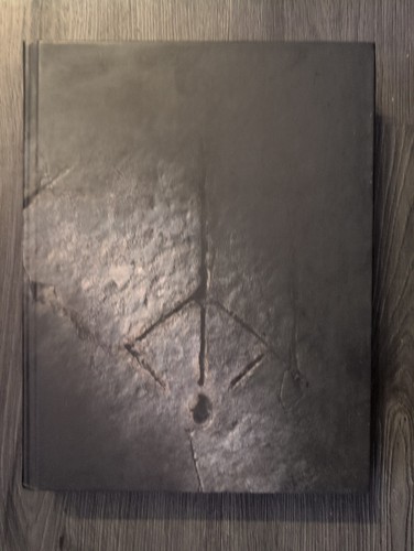 Bloodborne collector edition - bloodborne, collector's