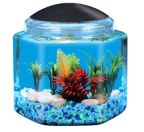 Serbatoio betta esagonale 1 - ,