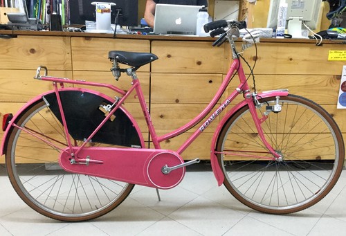 Bici classica olanda rowena - classica,